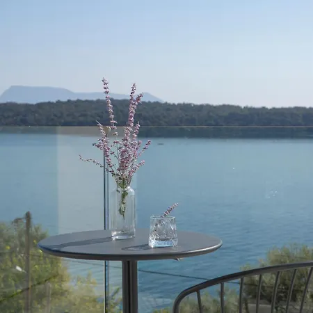Ionian Elite Beachfront Nidrí